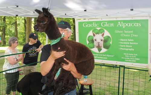 Gaelic Glen Alpacas on One World Day in Cleveland